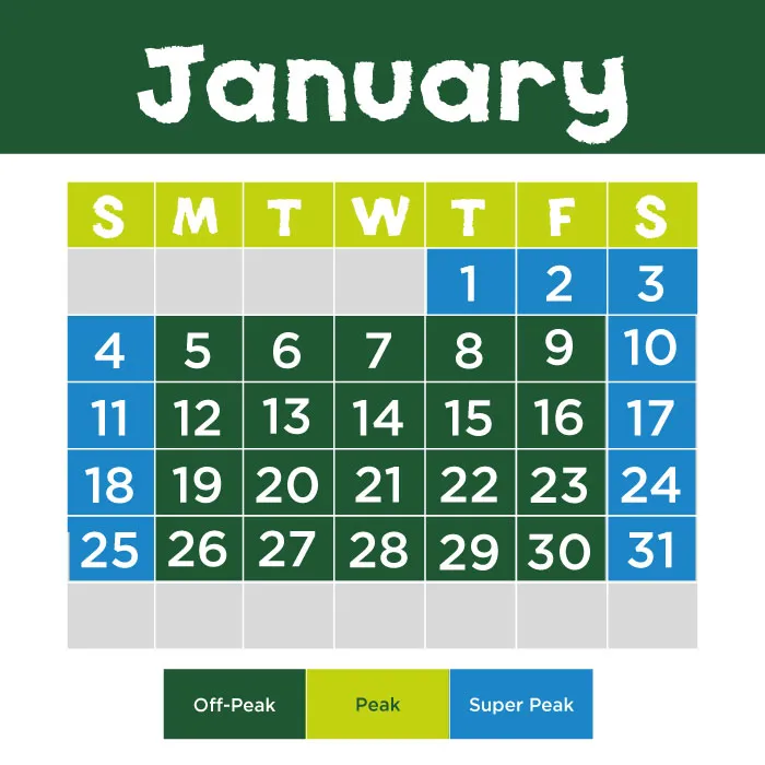 SA January 2026
