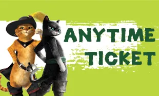 Anytime Ticket Banner