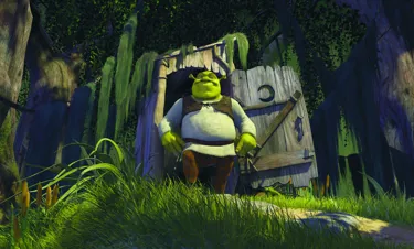 Shrek in his swamp