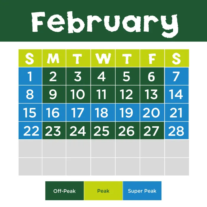 SA February 2026