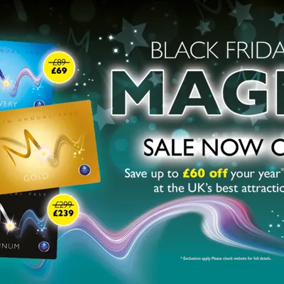 Merlin Black Friday Sale Now On