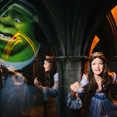 Mirror Maze And Cinderella