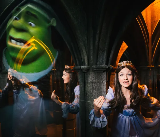 Mirror Maze And Cinderella