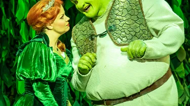 MM SHREK 2024023 SAL 600X600 4