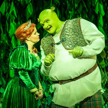 MM SHREK 2024023 SAL 600X600 4