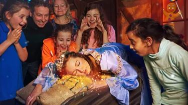 Shrek Sleeping Beauty