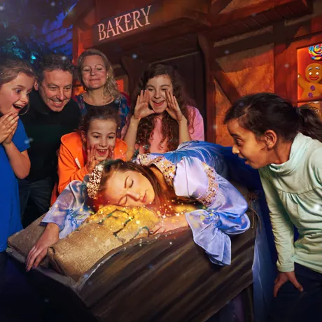 Shrek Sleeping Beauty