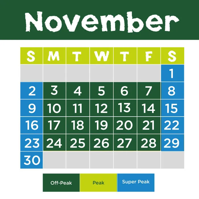 SA November 2026