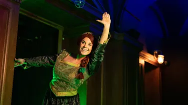 Princess Fiona from Shrek