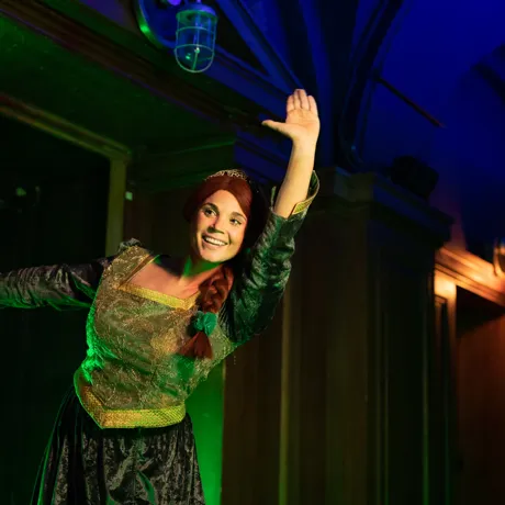 Princess Fiona from Shrek