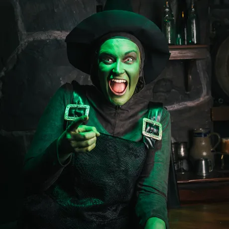 Shrek's Adventure! London Witch In Poison Apple Pub